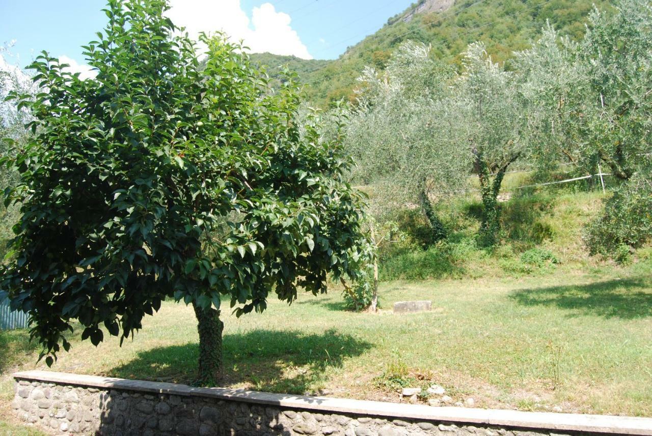Agriturismo Cascina Bissiniga سالو المظهر الخارجي الصورة